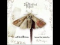 The Beautified Project -[2010]- Beyond The ...