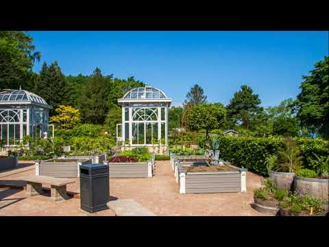 Norrvikens Trädgårdar