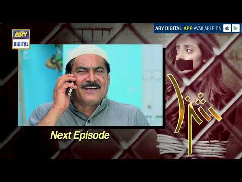Shiza Episode 30 (Teaser) ARY Digital Drama