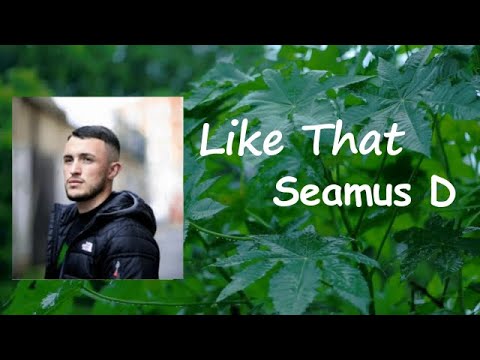 Seamus D - Like That Lyrics