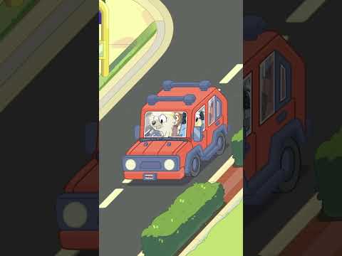 Bluey and Bingo sing the bullfrog song! 🐸🎶 | Bluey  #ytshorts