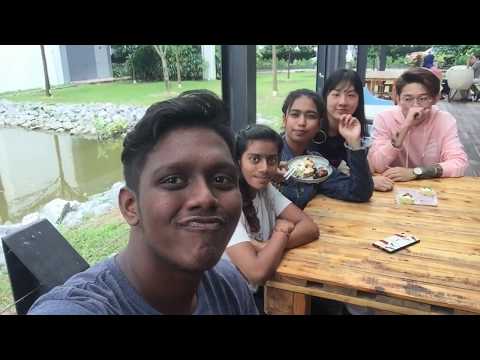 Chewybake Brownies Review