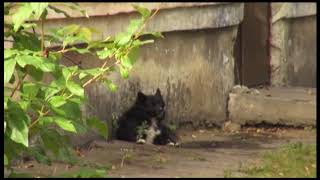 Ни кому не нужные жители Утёса