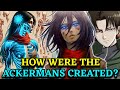 Ackerman Clan Anatomy - What Makes Them The Most-Feared Subjects of Ymir - Explored