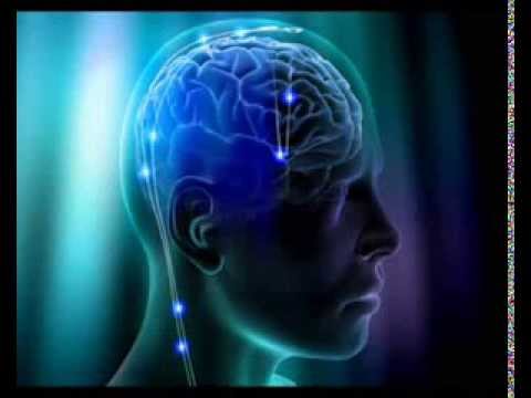 Mar de Ilusões - Perseverança -