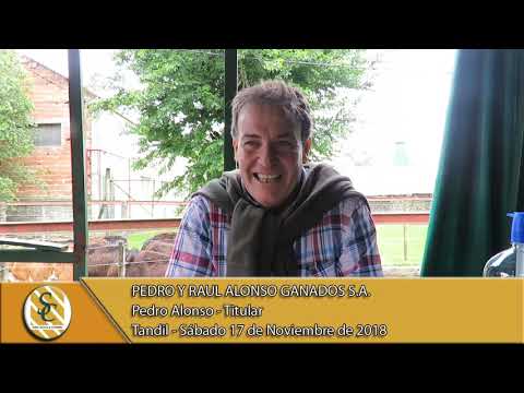 17-11-18 Nota Pedro Alonso - Titular - Pedro y Raúl Alonso Ganados S.A. - Tandil