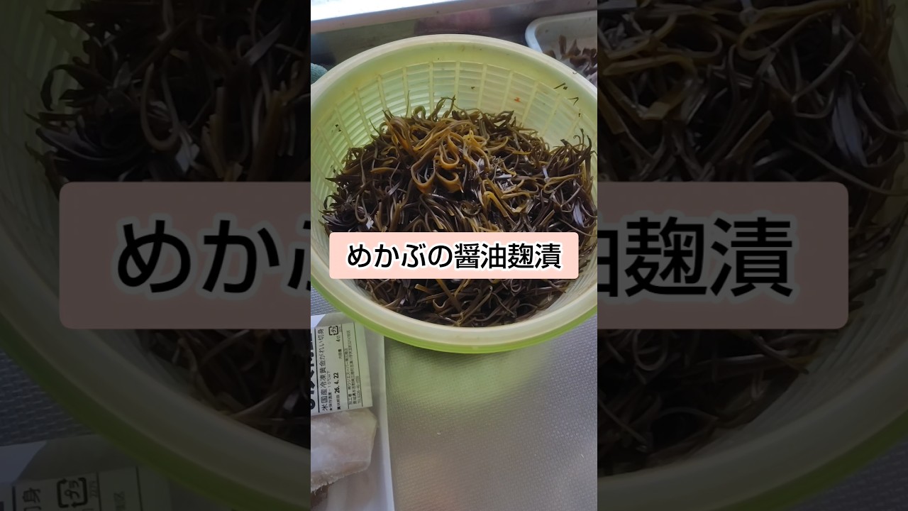 秘伝のめかぶ醤油漬　#shorts