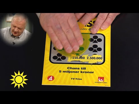 Steffo till trissgästen. "Va? Måste du räkna om nu?" - Nyhetsmorgon (TV4)