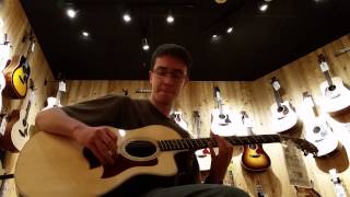 Palm trees, helicopters, and gasoline(joe b.)