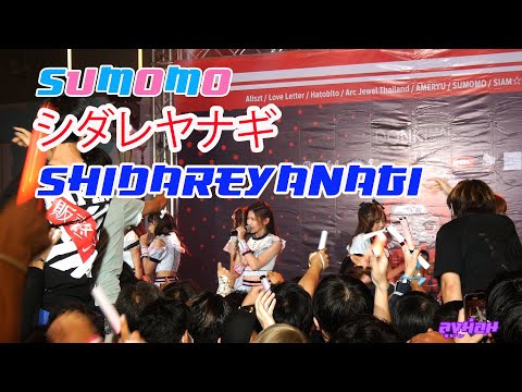 Sumomo Shidareyanagi 3rd Siamdol Festival @ DonkiDonkiTornglor