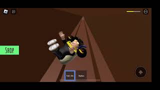 Slide down the longest hole in Roblox