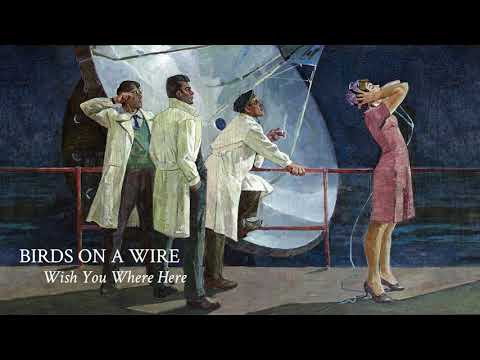 Birds On a Wire | Wish You Were Here (Official Audio)