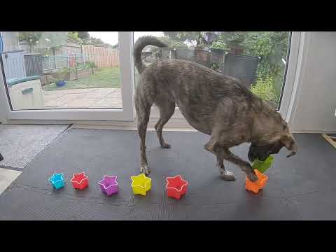 Star shaped stacking cups with Bea