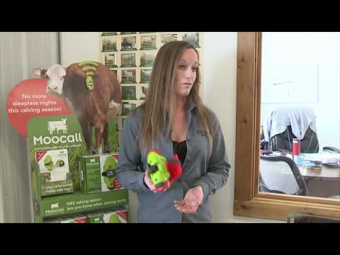 MOOCALL Calving Sensor on CTV National