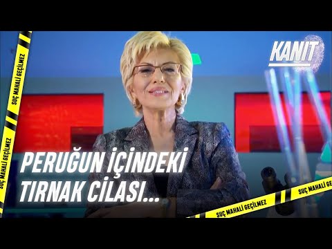 Suçun Kendisini Bildirmemek Suçtur! - Kanıt 20.Bölüm