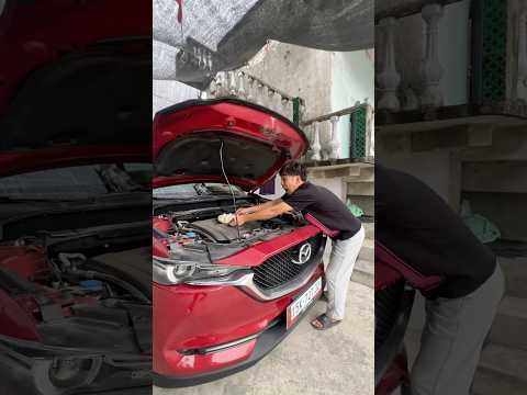 Để cá viên lên động cơ ô tô và đi bao xa để chín? #challenge #shorts