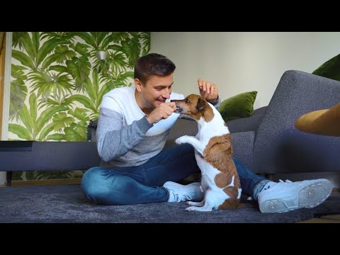 Dog food bag recycling path