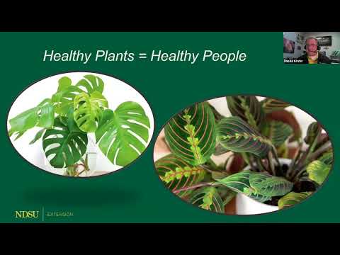 Repotting Houseplants and Transplanting Seeds - Everybody's Yard and Garden Guide Series