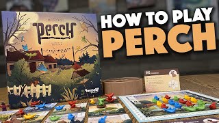 Perch video thumbnail