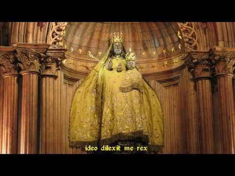 Nigra sum, sed formosa - Tomás Luis de Victoria