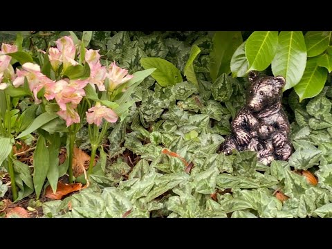 Perdita | Out of Joint | It Gets Lighter From Here