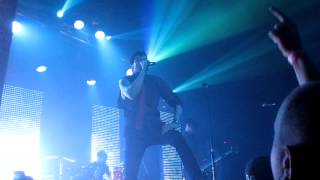 ORGY - Suckerface Live! [HD]