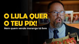 LULA QUER VIGIAR O POVO — ATÉ O PIX DA VENDEDORA DE MORANGO!