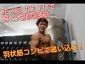 【大腿四頭筋と肩のスーパーセット】羽状筋同士を鍛える!