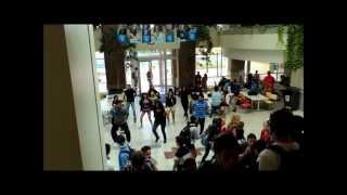 preview picture of video 'Desi Flash Mob at Penn State University by IGSA (Version#2).wmv'