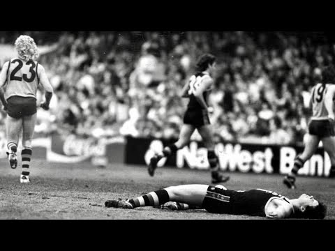 St.Kilda v Hawthorn Round 10 1988