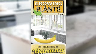 Grow Plants With Bananas #shorts 🍌