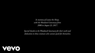 Matt Pond PA - Rabbit (Official Video)