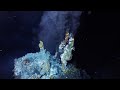 What Are Hydrothermal Vents