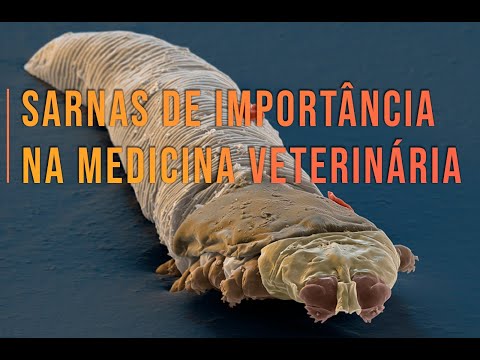 , title : 'Sarnas de importância na Medicina Veterinária'