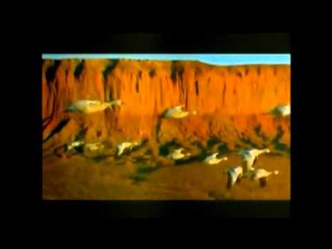 El Vuelo de los Gansos