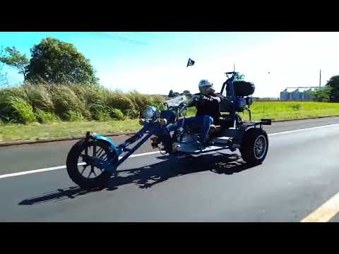 so as rariedade ali em mirante do paranapanema