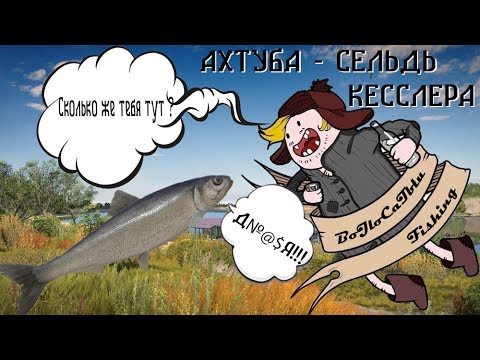 Русская Рыбалка 4 - Ахтуба - Сельдь -МНОГО!