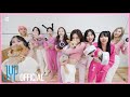TWICE SCIENTIST Cheering Guide