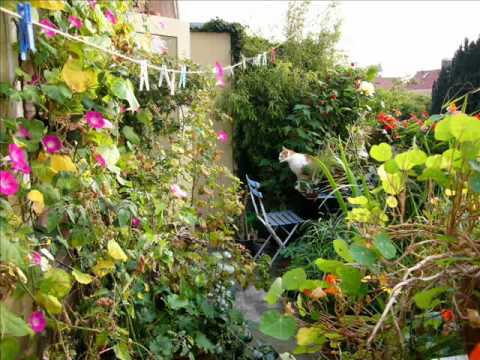 Ebiet G. Ade - Dia lelaki ilham dari sorga- album pertama,camellia I