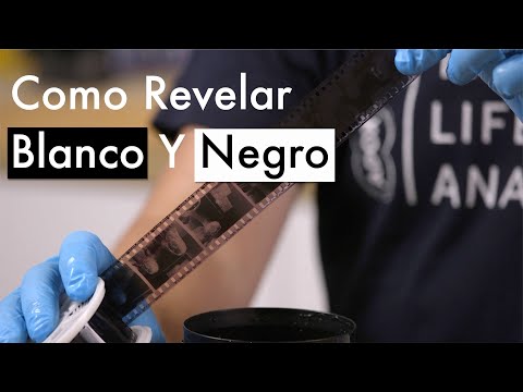 Como Revelar Blanco Y Negro || Revelado de Pelicula