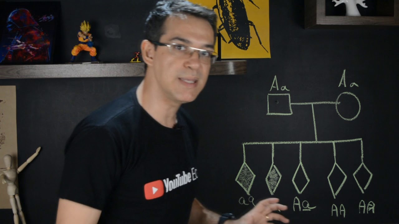 GENÉTICA :  ALBINISMO (explicando um exercício)