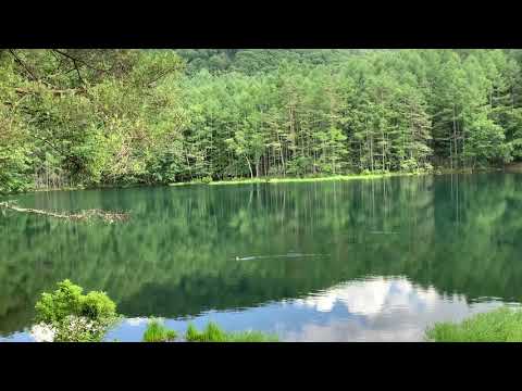 Mishaka pond and duck in Nagano prefecture in Japan
