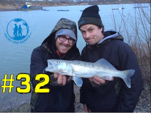 Who has to sing? | Zander fishing at the quarry lake