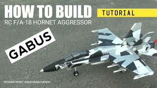 HOW TO MAKE RC Plane F/A-18 Hornet Aggressor - Build & Fly - Full tutorial