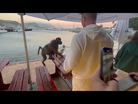 South Africa Today on 28 December 2025