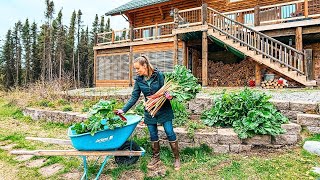 Trying New Things! + Our Alaskan Wood Shed Build Continues...