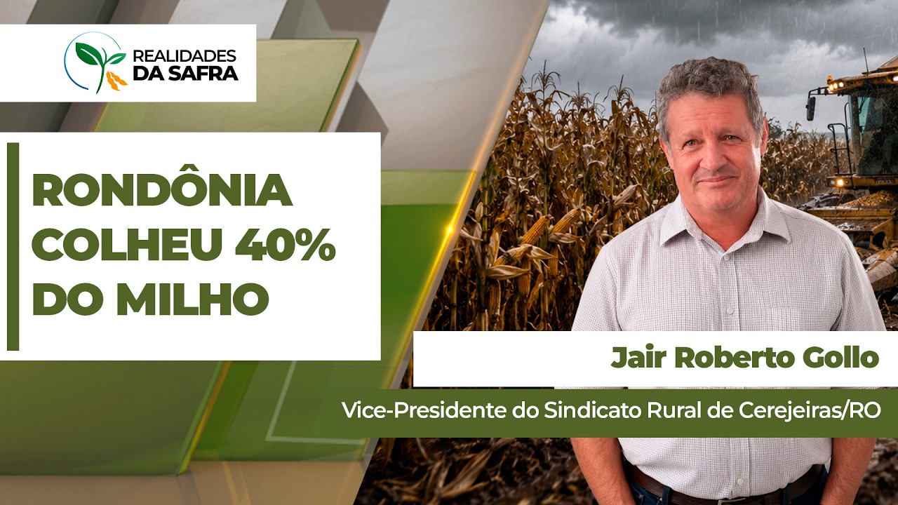 Rondônia já colheu 40% da safrinha de milho com produtividades dentro da normalidade