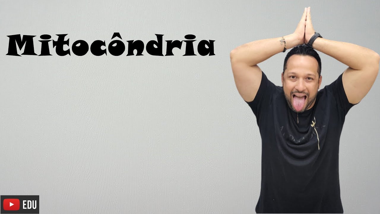Mitocôndria - Características e Funções - Organela Citoplasmática - Citologia