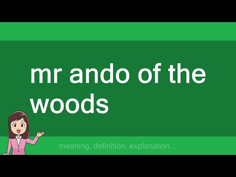 mr ando of the woods