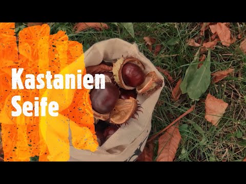 Naturpädagogik -  Kastanien Seife